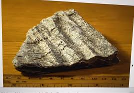 Shiny silicate mineral crossword clue. Question 2 The Photo And Short Video Below Show A Chegg Com