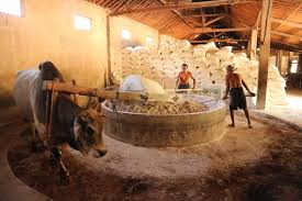 Pabrik mie gringsing / distributor, agen, reseller. True Stories Pabrik Mie Gringsing Pabrik Mie Gringsing 10 Perusahaan Kayu Di Batang Terancam Tutup Terdampak Wabah Corona Antara News 41 Juta Bungkus Setiap Hari Puluhan Karyawan Pabrik Mie Pt