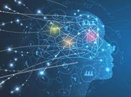 A deep neural network is a network of artificial neurons organised into layers (via software). Artificial Neural Networks An Overview Dataversity