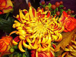 Free Image On Pixabay Chrysanthemum Flower Yellow Chrysanthemum Bouquet Chrysanthemum Bouquet Fall Chrysanthemum