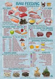 Pin By Dawn Kuhn On American Bully Make Dog Food Healthy Dog Food Recipes Raw Dog Food Recipes