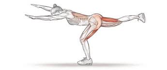 We did not find results for: Movement Monday Single Leg Rdl Authentic Health Studio