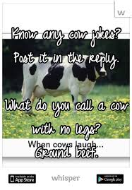Know Any Cow Jokes Post It In The Reply What Do You Call A Cow With No Legs Ground Beef Jokes Cow Meeting New People