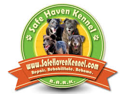 Check spelling or type a new query. Pets For Adoption At Safe Haven Rescue Kennel In Yerington Nv Petfinder