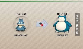 This have started discussions about if it´s related to cats and not bears. Munchlax Before Christmas Snorlax After Christmas 9gag