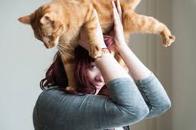 Opinion Stand Up For Your Cats Cats Crazy Cat Lady Crazy Cats