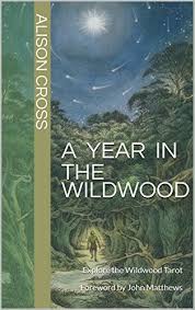 Look to the heart of a primeval forest where deep ancestral wisdom lies to help make sense of your world today. A Year In The Wildwood Explore The Wildwood Tarot Foreword By John Matthews English Edition Ebook Cross Alison Matthews John Amazon De Kindle Shop