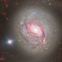 Stunning Photo of Spiral Galaxy Messier 77 Shows Its Beauty and ...