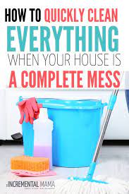 How To Quickly Clean Your House When It S A Disgusting Mess Clean Messy House Messy House Clean House