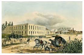 The university archives is the official institutional repository of records that document the history of the university of miami. 003 Casa De Beneficencia En La Habana Isla De Cuba Pintoresca 1839 Frederic Mialhe University Of Miami Libraries Digital Collections Cuba Tourist Havana