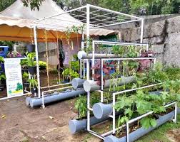 An Introduction To Hydroponics At Home Fresh salad straight out of a mumbai factory.