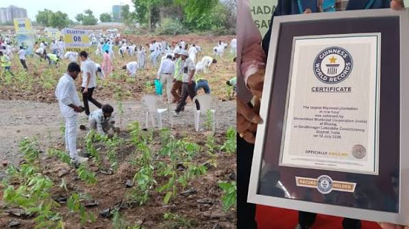Ahmedabad Guinness World Record plantation