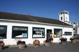 5,417 likes · 6 talking about this · 311 were here. Port Townsend 4 Hour Whale Watching Tour Puget Sound Express