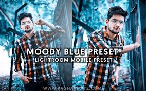 Moody Blue Lightroom Mobile Preset Lightroom Presets Lightroom Presets Portrait Lightroom Presets Tutorial Lightroom Presets Collection
