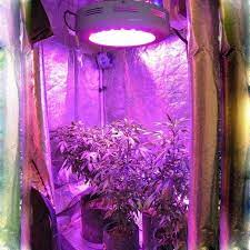 Growstar latest 1000w qb style sunlike full specturm led grow lamp high ppfd plant grow light. Best Ufo Led Grow Light 2020 Reviews