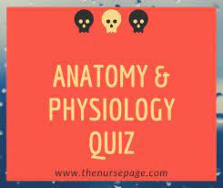 Florida maine shares a border only with new hamp. Anatomy And Physiology Nursing Quiz Questions The Nurse Page