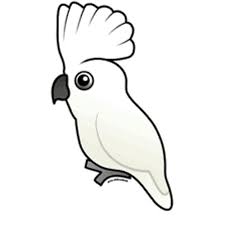 Menggambar batik kawung sederhana youtube. Mewarnai Sketsa Gambar Burung Lovebird Terbaru Kataucap