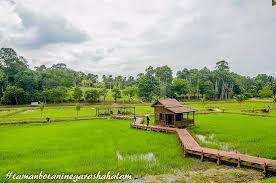 Dari lebuhraya persekutuan, susur keluar di bandar shah alam. Taman Botani Negara Shah Alam 2021 All You Need To Know Before You Go With Photos Shah Alam Malaysia Tripadvisor