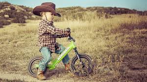 Strider Bikes Strider Bike Balance Bike Halloween Costumes For Kids