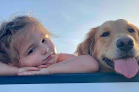 Fundraiser by Angela Cavender-Simmons : Protecting Our Sunshine