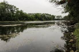 We did not find results for: Der Watvogel Plant Bei Der Autobahn Mit Wirtschaftspolitik Derstandard De Wirtschaft