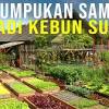 Idea dari dapur 'edible garden'. Https Encrypted Tbn0 Gstatic Com Images Q Tbn And9gcqq0chbkjl5cxaa1 Fqhekdmybw1exa3vykxwfhzpyxvzrdpumb Usqp Cau