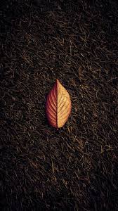 Musa Akkaya Duvar Kagidi Sanatsal Baski Duvar Kagidi Doga Fotograflari