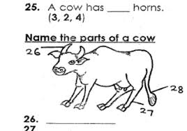 Grade 2 Science Exams Past Papers End Of Term 1 2018 Muthurwa Com Past Exam Papers Grade 2 Science 2nd Grade