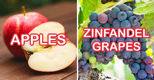 Have You Tried A Fruit For Each Letter Of The Alphabet In 2020 Have You Tried Fruit Lettering