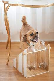 Diy Treat Dispenser Diy Projects For Dog Lovers Diy Dog Toys Diy Dog Stuff