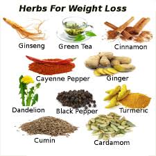 Pin On Nutrient Health