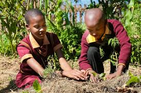 Éducation et Développement Social