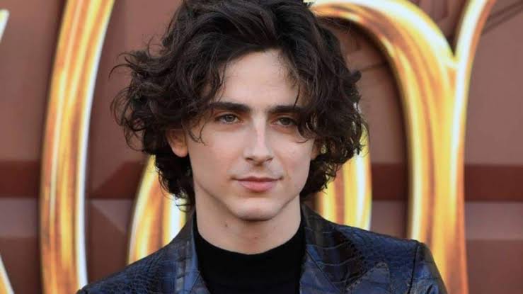Timothée Chalamet: Age, Girlfriend, Movies, Net Worth, Family