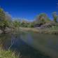 Birding the Woodbridge Wilderness Area