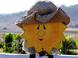 Lets get this video to 15,000 likes :d xoxdid you see my most rece. Sunshine Scarecrow Face Free Stock Photo Public Domain Pictures