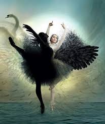 Black And White Swan Ballet Image Result For Swan Lake Black And White Swans Together Dance Art Swan Lake Ballet Ballet Art