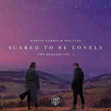 Martin garrix & dua lipa. Martin Garrix Ft Dua Lipa Scared To Be Lonely Cover By Nina Tadza