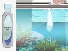 Cara mengatasi air akuarium berbusa ini paling gampang, yaitu dengan membuang buih pada permukaan secara manual. Cara Membersihkan Akuarium Dengan Gambar Wikihow