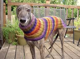 Place the back stitches (between the stitch markers) on an extra cable or piece of waste yarn. Ravelry Side Button Greyhound Sweater Pattern By Terri Lee Royea Large Dog Sweaters Pet Sweaters Dog Sweater Pattern