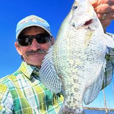 Profile for Bob Wells