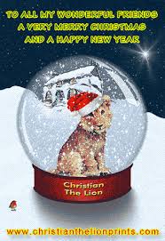 Send best christmas greeting messages and wishes to your friends and loved ones. Christmas In Australia Gif Australia Moment
