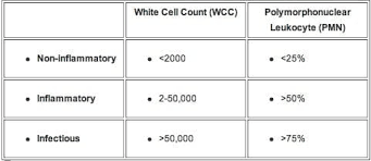 Synovial Fluid Analysis Litfl Ccc Investigations