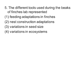 Everyone knows that reading beaks of finches regents lab answer key is helpful, because we could get a lot of information from your reading materials. The Beaks Of Finches Nysed Lab Ppt Video Online Download