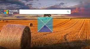 If you are a tourist and plan to go to the city then you need to go to the city at the best time to visit. Bing Com Homepage Gets Updated Microsoft Bing Branding