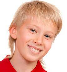 Mullet Haircut For Boys Boy Hairstyles Toddler Boy Haircuts Boys Haircuts