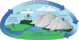The Water Cycle Precipitation Education