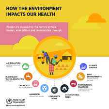 How The Environment Impacts Our Health People Are Exposed To Risk Factors In Their Hom Environmental Health Public Health Quotes Social Determinants Of Health