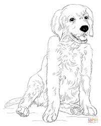 Old yeller is a 1956 children's novel written by fred gipson and illustrated by carl burger. Golden Retriever Coloring Pages Coloring Home