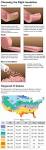 Building Insulation Product Reference Guide