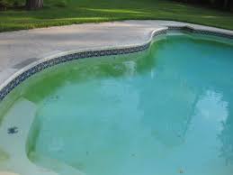 Got Mustard Algae Here S A Very Simple Tutorial That Will Walk You Through How To Remove Stubborn Mus Swimming Pool Algae Pool Algae Swimming Pool Maintenance